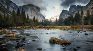 Yosemite National Park